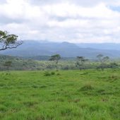  Arusha NP, TZ